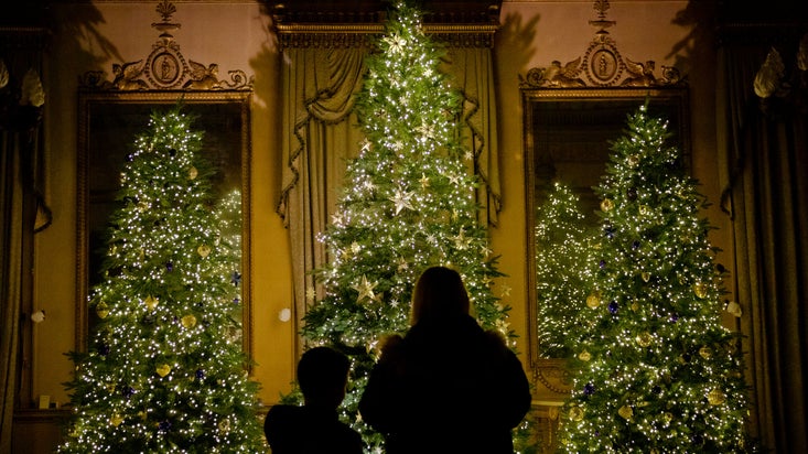 The silhouettes of a child and adult in front of three very twinkly Christmas trees filling the side of a room